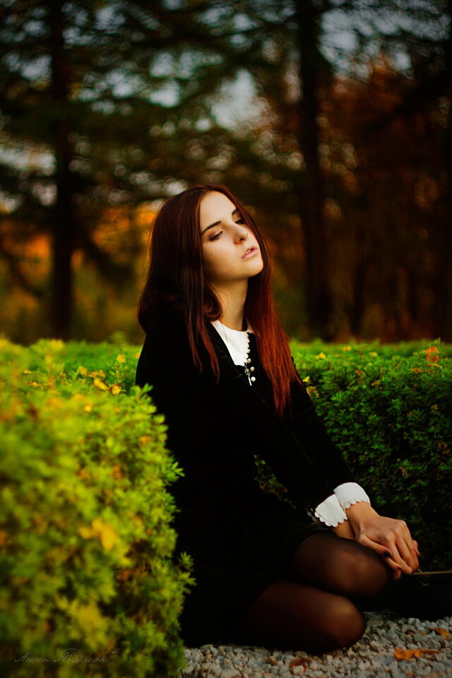 Photo, Photos, Art, Graphics, Gallery, Portrait