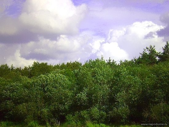 Фото Николай Веселов
