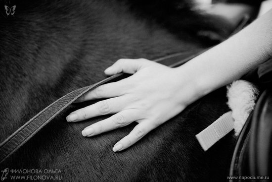 портрет,  лошадь,  животные,  природа,  платье,  Fashion