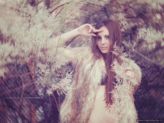 Фото Alina Limonka