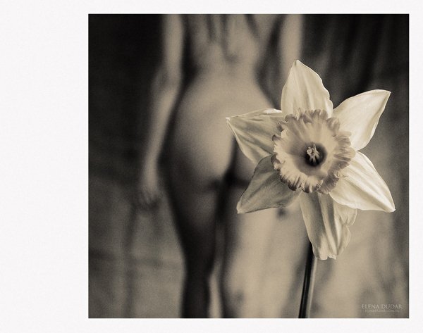 Фото Елена Дударь