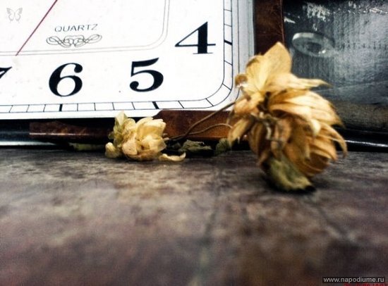 Фото Yulia Mamkeeva