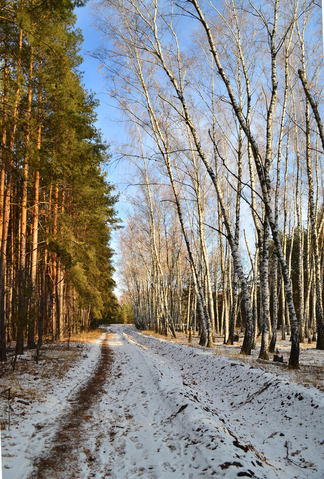 Фото Евгений evgenneu Неустроев