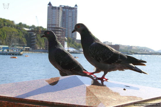 Фото Nikolay BAryshev