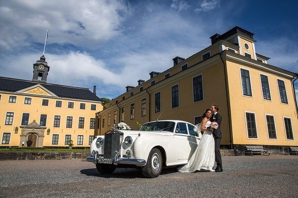 Фото Mikhail mishagold Gold