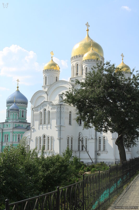 Фото Татьяна Евдокимова