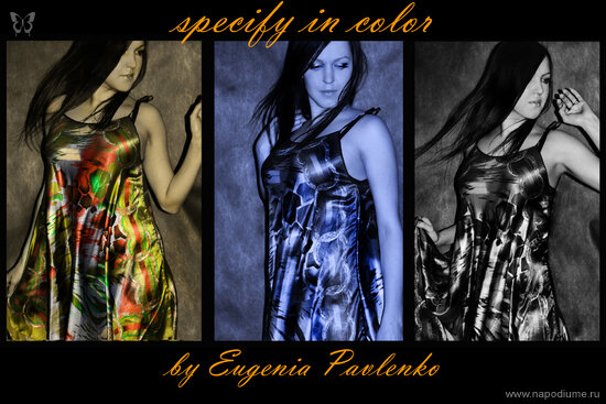 Eugenia euphoria Pavlenko