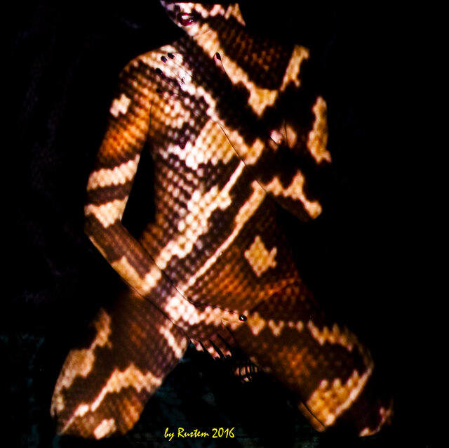 Фото Shuhard
