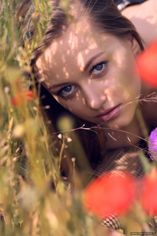 Фото VIKART Витаминов