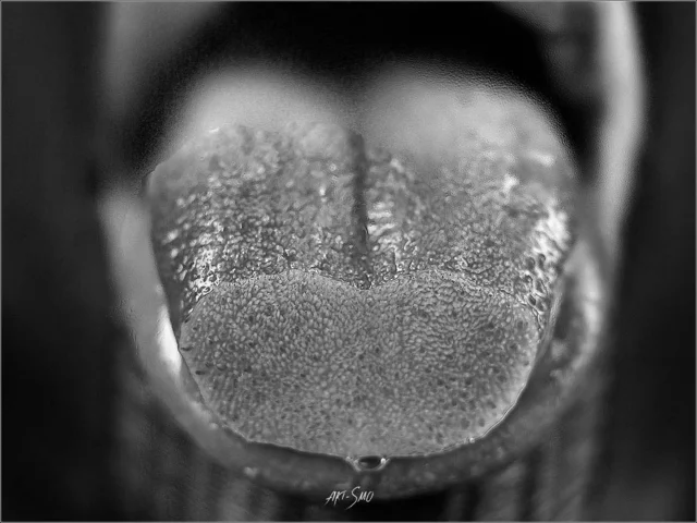 Igor Smolnikov's photo