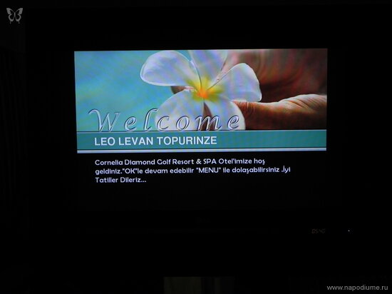 Фото Leo Levan Topuridze