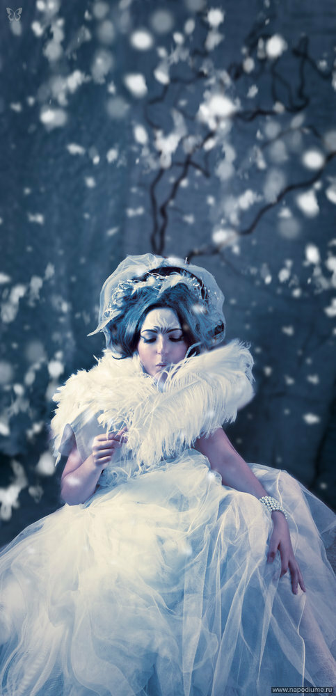Fashion,  портрет,  Fantasy,  зима,  невеста