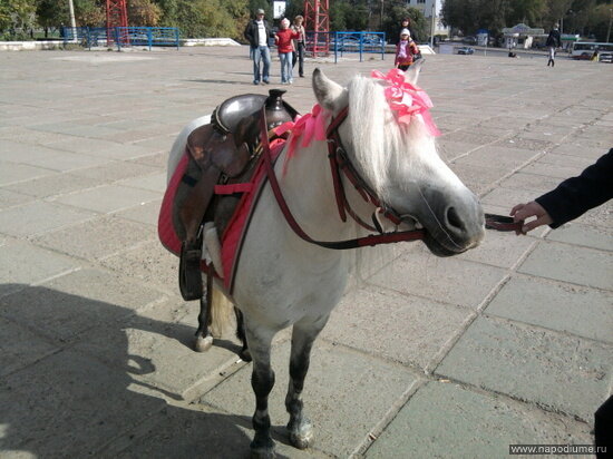 Фото Наташа Эмочка Трепалова