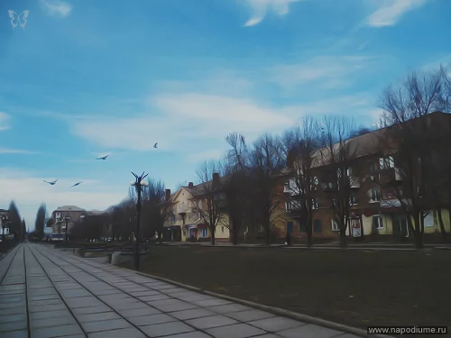 Anastasia Kolesnikova's photo