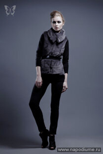 Ardistia New-York