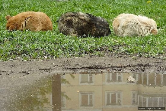 Фото Мария Клава-Янат