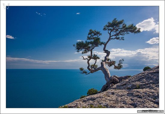 Новые фото http://www.bfoto.ru/new_photo.php