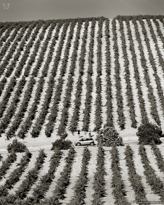Фото Vladislav Valmont