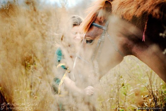 портрет,  лошадь,  животные,  природа,  платье,  Fashion