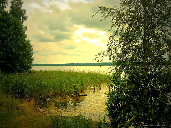 Фото Анна Ржевская