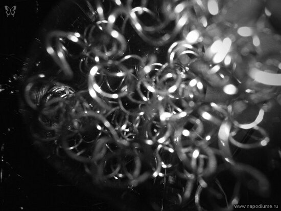 Фото Julia Tofan