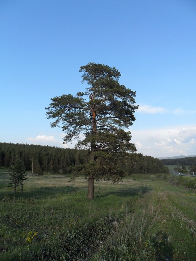Фото Александр Лысов