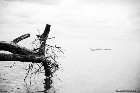 Фото Eugeny Jekin