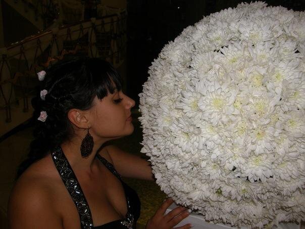 Фото Алиса Alis Авонеска