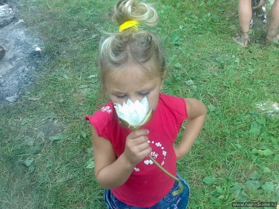 Nikol' ....'s photo