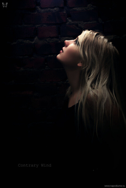 Фото Contrary Wind