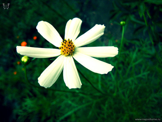 Фото Valeriana Matveeva