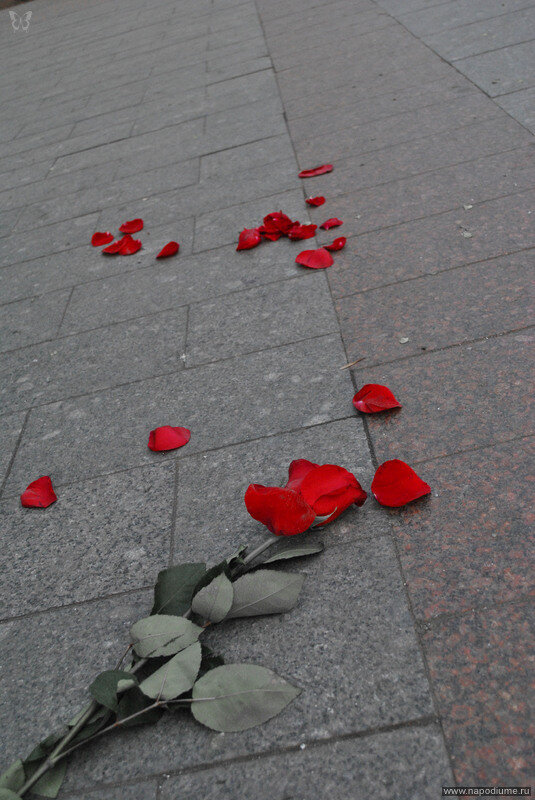 Фото Павел Варламов