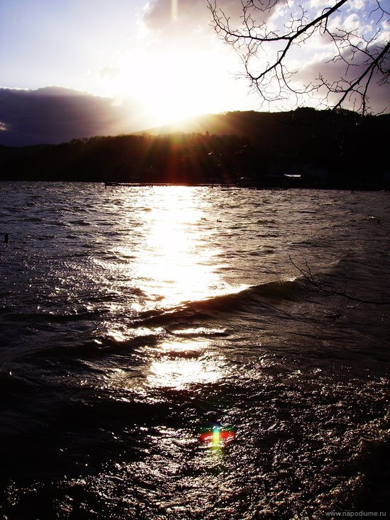 Nature