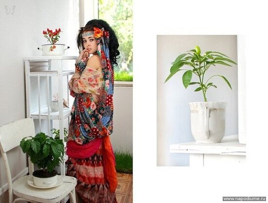 Фото Iva Basara