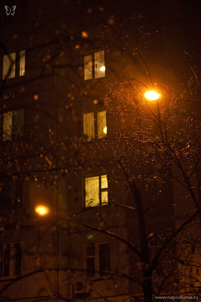 Фото Виктор Сташевский