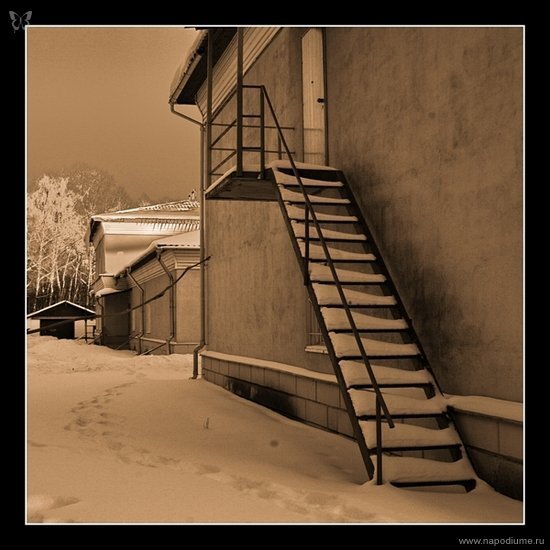 природа, пейзаж, парк