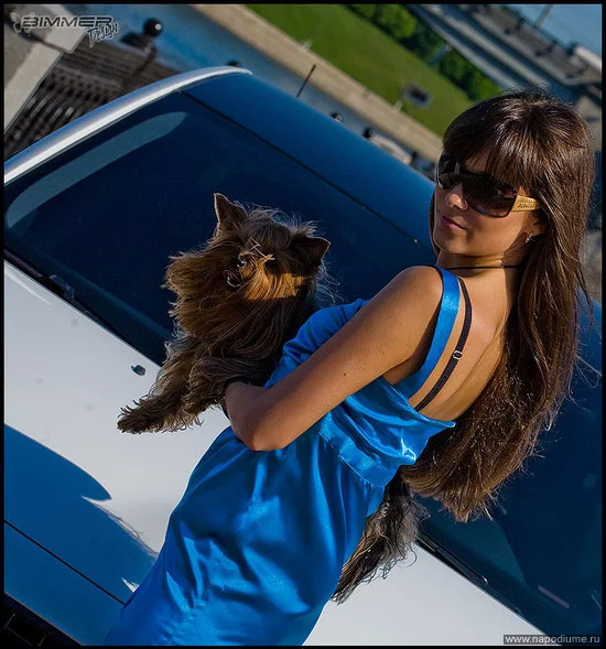 BOSS BOSS's photo