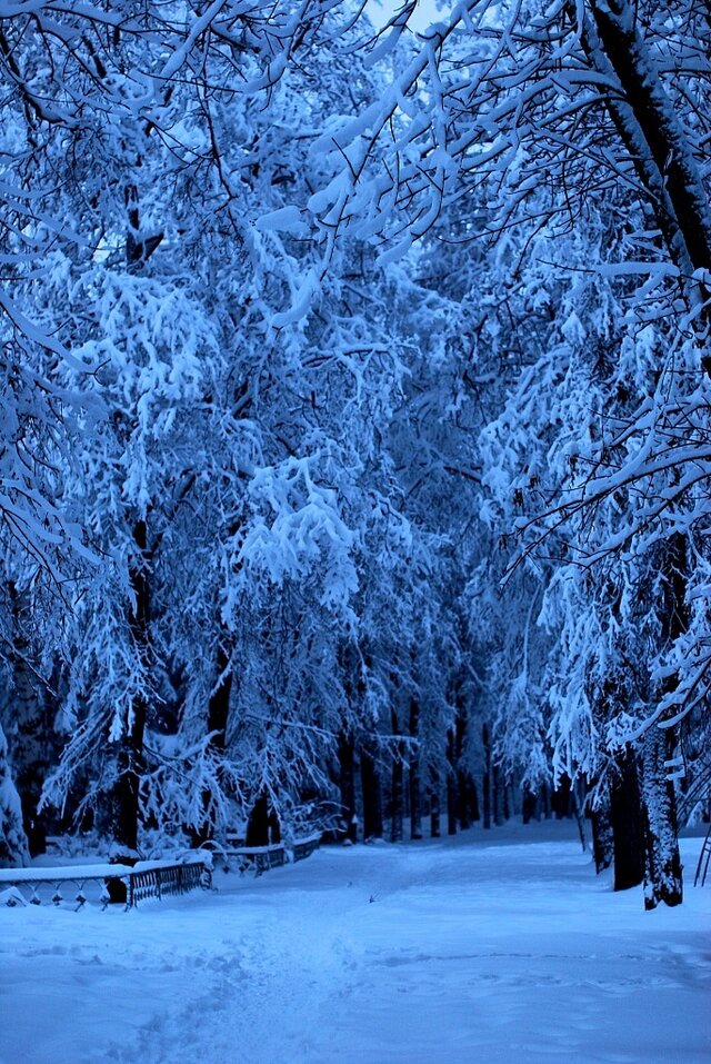 Фото Алина Азарова