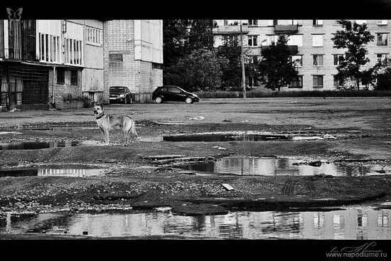 Фото Наталька Неона Фёдорова