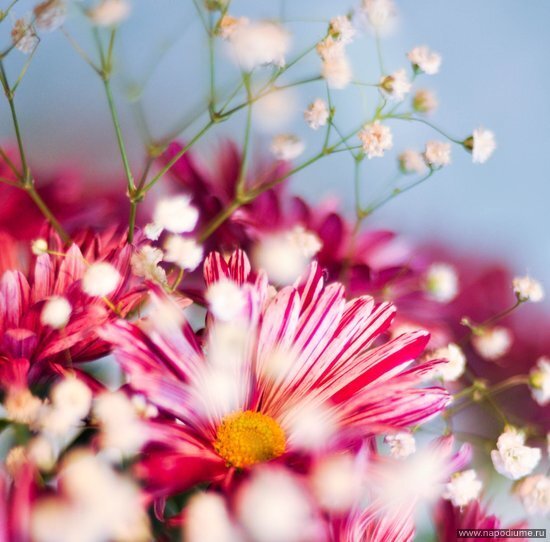 природа