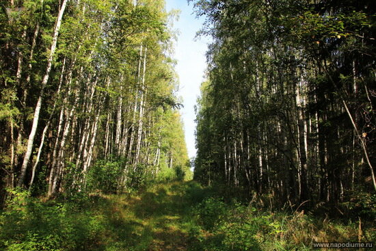 Фото Вячеслав Зайцев