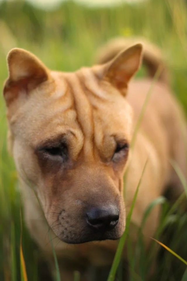 Anton Lozovoj's photo