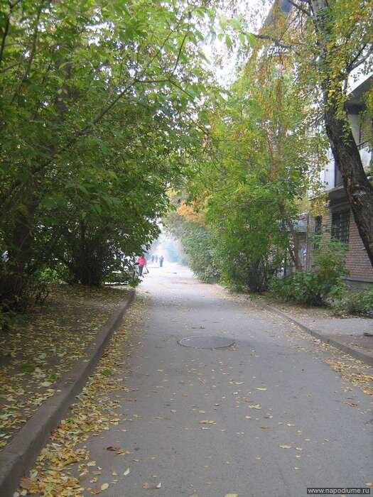 Фото Феликс Смирнов