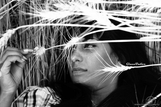 Фото Artyr Ginzo