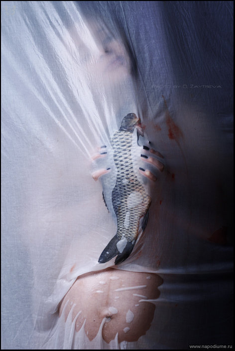 Фото Dasha Zaytseva