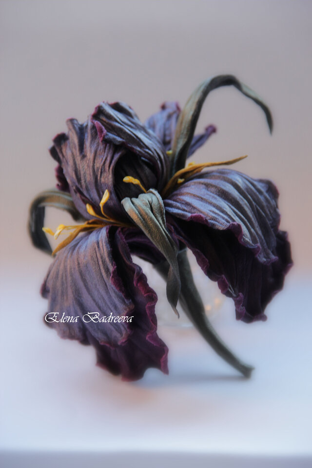 Elena Badreeva's photo