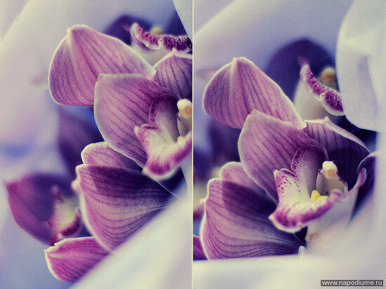 Фото Evgeniya J.Cat? Ippolitova