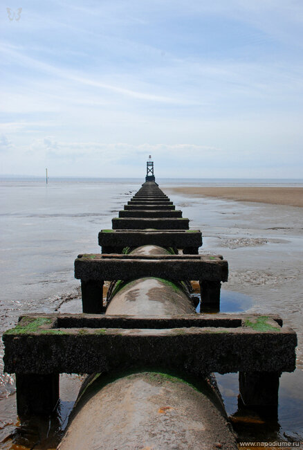 Фото David Seel