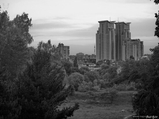 Фото Denis Spirt
