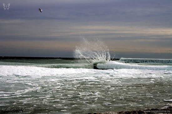Фото Netali Barnes